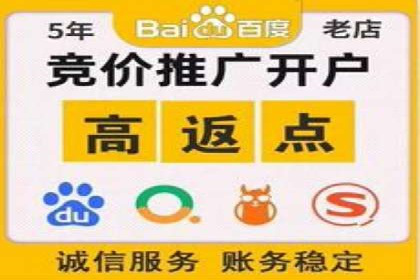 谷歌SEM与移动端优化：某APP的推广策略及效果